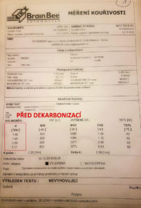 Před dekarbonizací